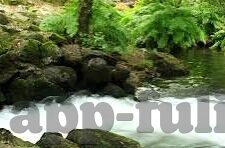 麻豆91视频-麻豆91，虚幻的诱惑还是现实的选择？